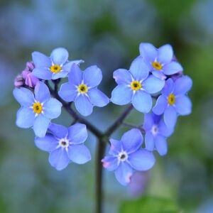 Meet your Posher, MariDee